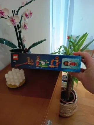 Lego Disney Aventura de Moana Canoa 43270