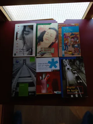 Libros juveniles variados
