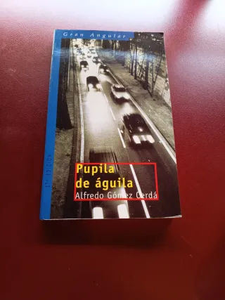 Libros juveniles variados