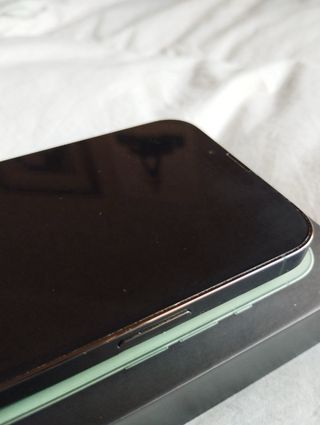 iPhone 13 Pro Max 128 GB Verde + 10 Fundas