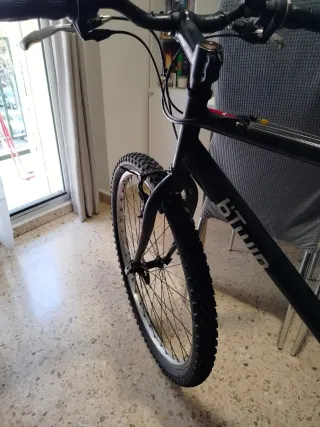 Bicicleta de adulto negra