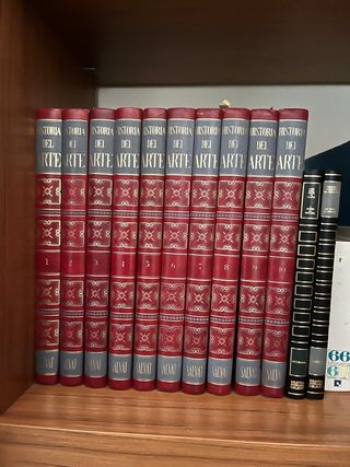 Enciclopedia Historia del Arte Salvat (10 Tomos)