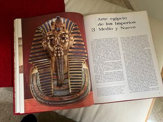 Enciclopedia Historia del Arte Salvat (10 Tomos)