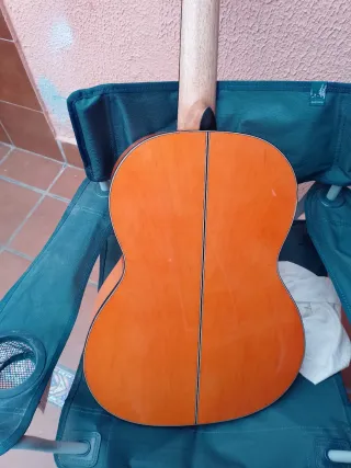 Guitarra Flamenca Autoamplificada