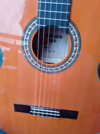 Guitarra Flamenca Autoamplificada