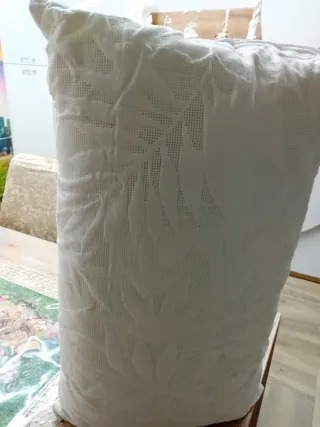 Coppia Cuscini Bianchi