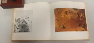 GUINOVART, La força del llenguatge plàstic.