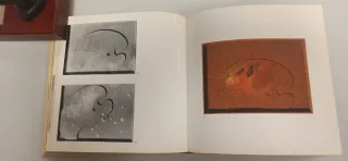 GUINOVART, La força del llenguatge plàstic.