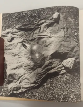 GUINOVART, La força del llenguatge plàstic.