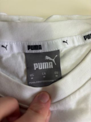 Lote 2 Camisetas Blancas Puma y Superdry Talla Úni