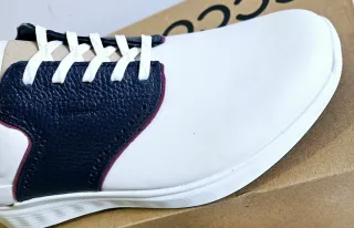 Zapatos de Golf ECCO Blancos y Azules