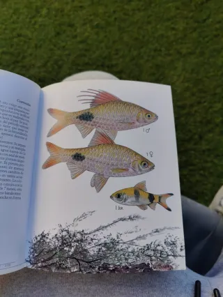 Peces de acuario (Enciclopedia De La Ciencia) (...