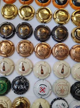 84 Chapas de Cava Colección