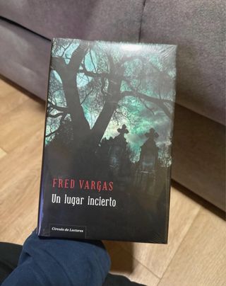 Lote de libros en español.