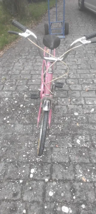 Gacela BH Plegable 18'