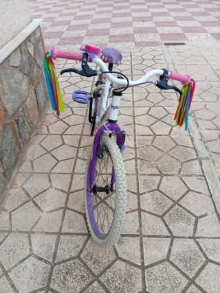 Bicicleta infantil 20 pulgadas
