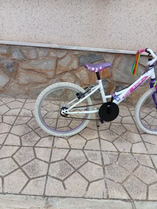 Bicicleta infantil 20 pulgadas