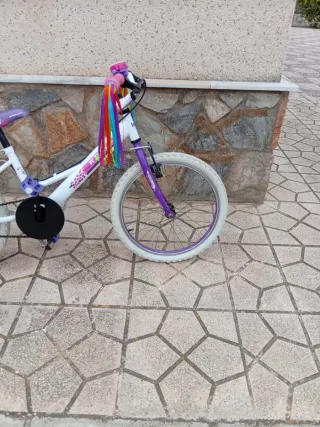 Bicicleta infantil 20 pulgadas