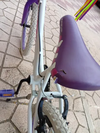 Bicicleta infantil 20 pulgadas