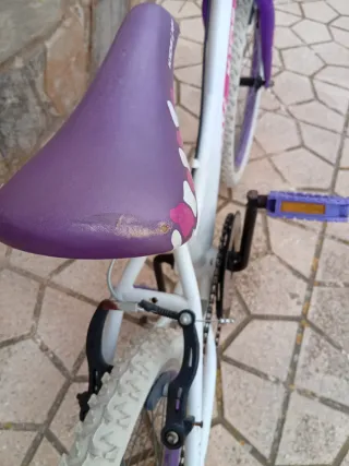 Bicicleta infantil 20 pulgadas