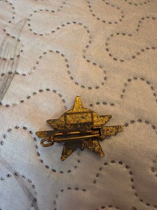 Insignia militar Francia paracaidista