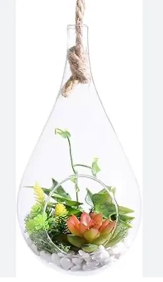 Bolas de cristal colgantes para terrarios