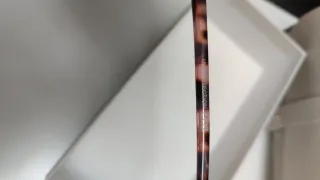 Occhiali da sole donna nuovi