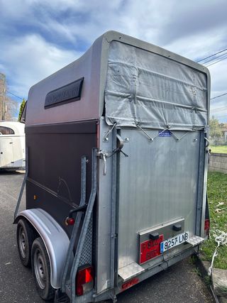 Remolque caballos Bockmann 2 plazas