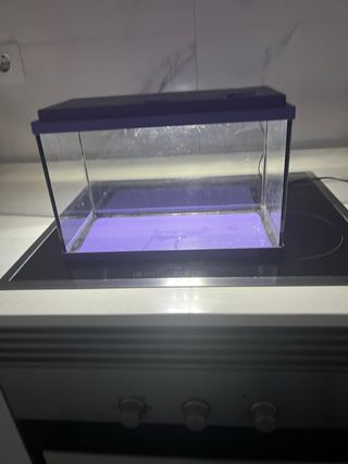 Acuario 18L Morado