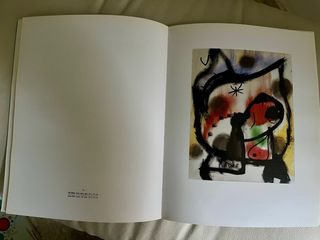 Libro ARTE bilingüe:El sueño interrumpido de MIRÓ.