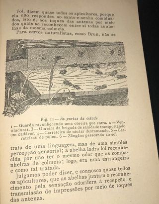 Um Povo Miúdo (as abelhas) de Eduardo S. D`Almeida