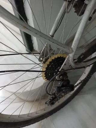 Bicicleta de paseo con cesta