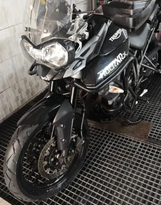 Triumph Tiger XRx low*