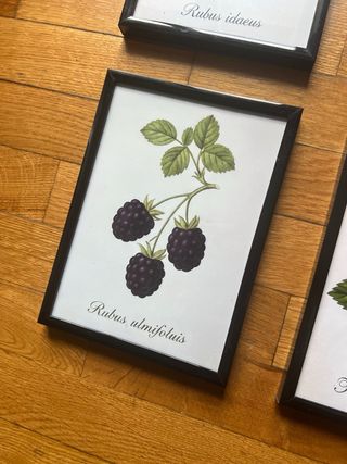 Set 4 Quadretti Frutti di Bosco Vintage 13x18