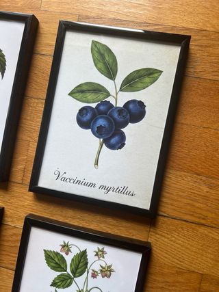 Set 4 Quadretti Frutti di Bosco Vintage 13x18