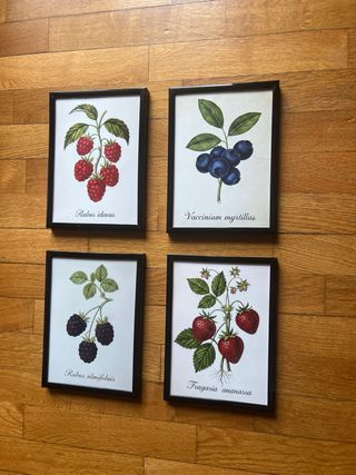 Set 4 Quadretti Frutti di Bosco Vintage 13x18