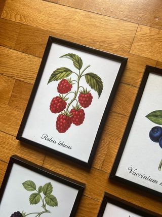 Set 4 Quadretti Frutti di Bosco Vintage 13x18