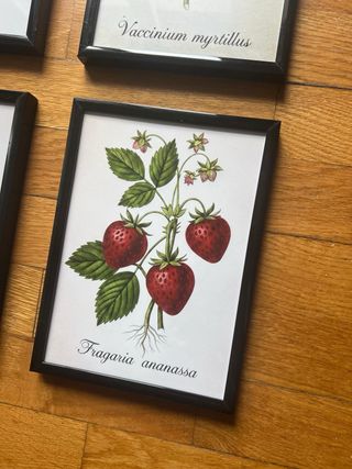 Set 4 Quadretti Frutti di Bosco Vintage 13x18