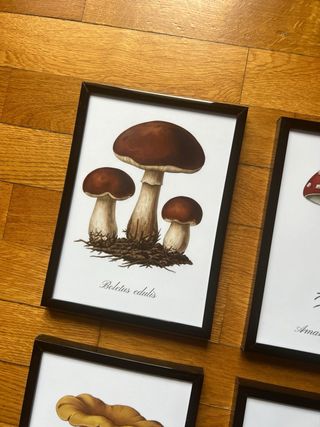 Set 4 Quadretti Funghi Decorazione Cucina 13x18