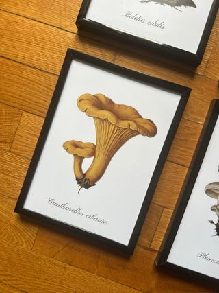 Set 4 Quadretti Funghi Decorazione Cucina 13x18