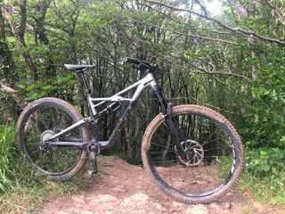 Specialized Enduro Bicicleta Montaña