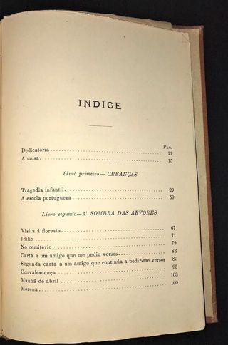 A Musa em Ferias de Guerra Junqueiro