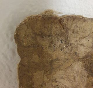 2 dipinti arte popolare messicana su corteccia