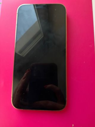 iPhone 13 Pro Max Oro