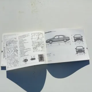 Manual Instrucciones Renault 25