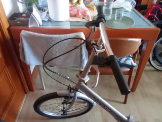 Bicicleta Plegable Plata