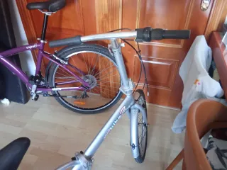 Bicicleta Plegable Plata