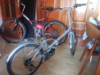 Bicicleta Plegable Plata