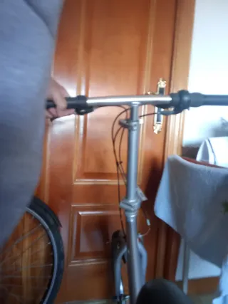 Bicicleta Plegable Plata