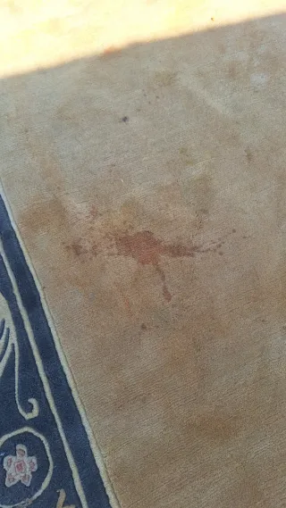 Tappeto Grande Formato Stile Classico 250x350